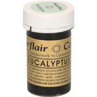 Gelová barva eucalyptus 25g - Sugarflair