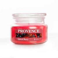 Provence Vonná svíčka ve skle 45 hodin spiced berry