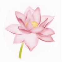 Stencil pro airbrush lotus - Martellato